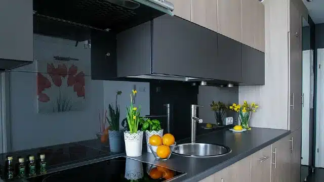 Matte Paint kitchen cabinets